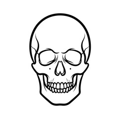 Fototapeta premium Minimalist Human Skull Outline Icon, Front View Vector