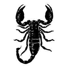 monochrome arachnid stinger