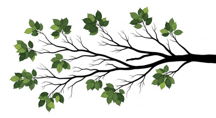 Illustration of a tree branch with green leaves against a white background in a simple style design