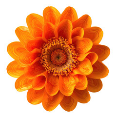 Close-up of an orange dahlia.  Layered petals, swirling design