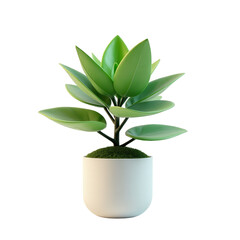 A vibrant, eye-level  shot presents a leafy green houseplant in a rounded white pot, set against a stark, solid black backdrop emphasizing the plant's vivid colors and forms.