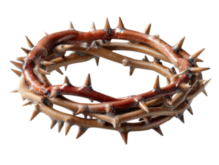 Crown of Thorns: The image is a depiction of a crown woven from thorny branches, a symbol of suffering, sacrifice and faith. 