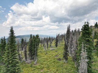 PAISAJE DE MONTANA MISSOULA PINOS Y MONTAÑAS ALREDEDOR DEL RIO Y EL BOSQUE
