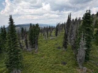 PAISAJE DE MONTANA MISSOULA PINOS Y MONTAÑAS ALREDEDOR DEL RIO Y EL BOSQUE