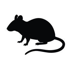 rat on a white background