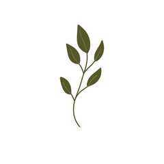 Elegant Green Leaf Vector for Wedding and Digital Invitation Design