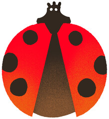 Ladybug 