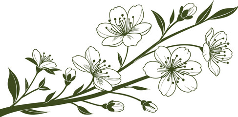 Elegant floral branch vector illustration with delicate blossoms and detailed leaves, perfect for wedding invitations, greeting cards, decorative patterns, logos, and design projects.