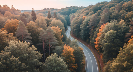 Aerial view of a winding asphalt road cutting through a dense forest with trees displaying autumn colors.