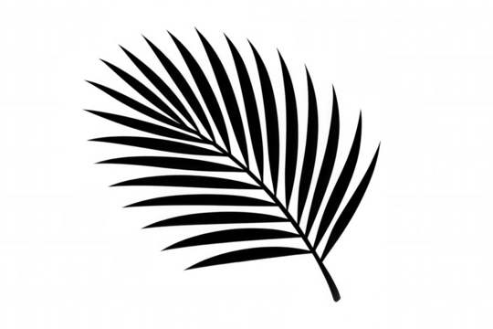 Black palm frond silhouette creating tropical and summer vibe, isolated on transparent background for design elements - Powered by Adobe