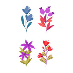Set of four charming botanical illustrations featuring delicate flowers and leaves in vibrant colors