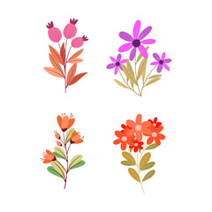 Vibrant Collection of Autumnal Botanical Illustrations Featuring Berries and Flowers