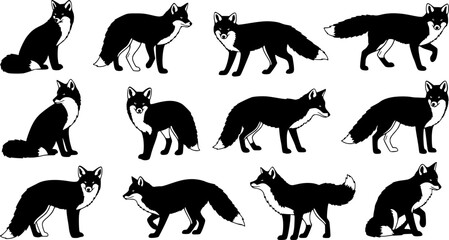Fototapeta premium Silhouette fox collection: various poses and stances for wildlife designs