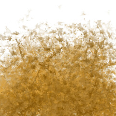 Golden Dust Cloud Overlay with Realistic Grunge Texture and White Background