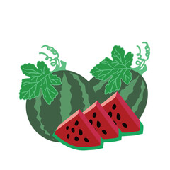 watermelon vector illustration