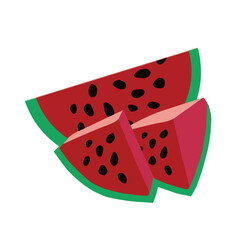watermelon vector illustration