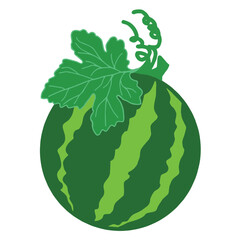 Illustration of a seamless pattern background with rows of watermelons.