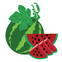 vector illustration of a watermelon