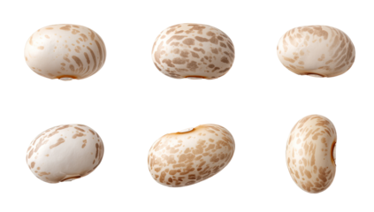 Six speckled beans, various angles