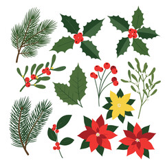 A festive collection of winter holiday botanical elements including pine branches holly mistletoe and poinsettias for seasonal decorations and crafts.