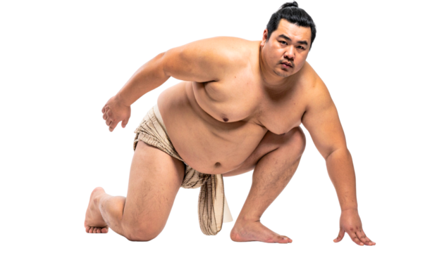 Sumo Wrestler in a Ready Stance A Portrait of Strength and Determination