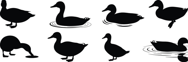 Black duck silhouettes in various poses, swimming, standing, feeding, perfect for graphic design, logos, and nature-themed