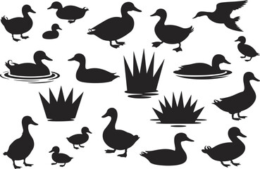 Duck silhouettes collection, swimming, flying, standing, with reeds, perfect for logos, icons, nature designs, vector art.