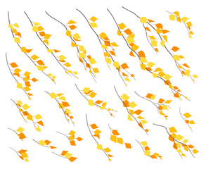 Set of Simple Autumn Birch Branches in Wind.