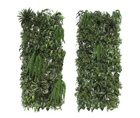 Tropical plant garden vertical on a white background
