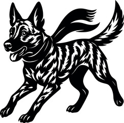 Energetic Dutch Shepherd Dog Running with Flowing Scarf