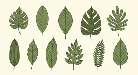 Collection of various green leaves with distinct shapes and textures.