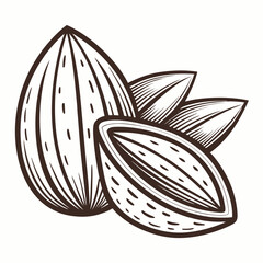 Create Bold Stroke Almond Nut Professional Photo Great for Commercial Projects