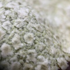 “Macro Background Blurry of Various Flowers”