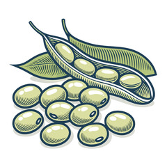 Crisp Create Bold Stroke Mung Beans Cluster Professional Photo