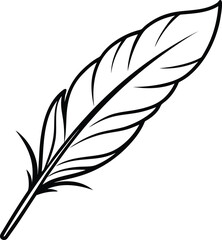 Obraz premium feather floating in air line art on transparent background