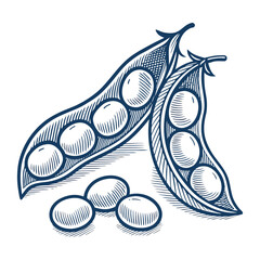 Stunning Create Bold Stroke Soybeans Premium Digital Asset