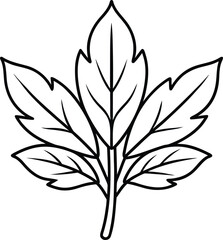 herb leaf outline line art on transparent background