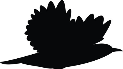 Flying Arabian wheatear Bird Silhouette Design And Vector Illustration. 