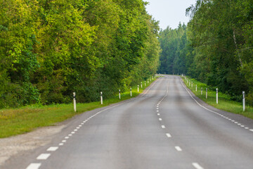 Scenic country road lined with green trees, a straight asphalt highway with white markings and safety posts in the countryside.