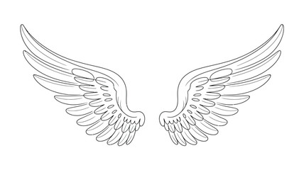 Detailed sketch of a pair of elegant angel wings spread wide against a pure white background showcasing intricate feather details and a classic symmetrical design