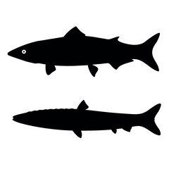 Two silhouettes of fish showcasing different species and body shapes against a white background