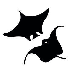 Two silhouetted manta rays gracefully swimming in the deep ocean waters