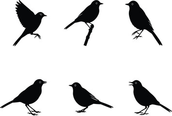 Blackbird silhouette vector illustration collection featuring perched, flying, and singing poses with detailed shapes for wildlife, nature, decoration, and design.