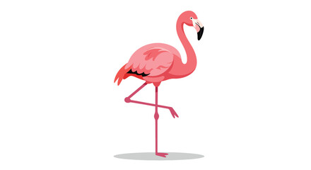 Elegant Pink Flamingo Standing on One Leg Side View.