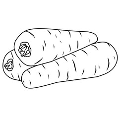 carrot vector illustration. carrot coloring book. For kids coloring book.
