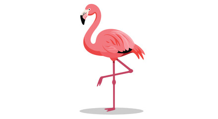 Vibrant Pink Flamingo Standing on One Leg with Shadow.