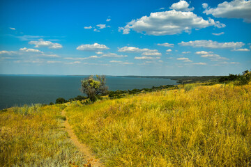 Fototapeta premium summer landscape with a river