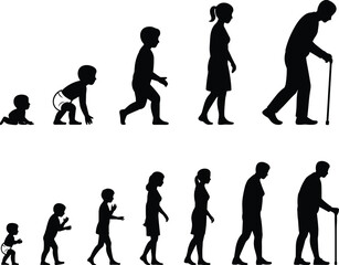 Human life stages silhouette illustration showing baby crawling, child walking, teenager, adult man and woman, aging process, old man with cane, growth evolution