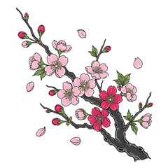 Illustration of a blossoming cherry branch with pink and red flowers, buds, and falling petals.