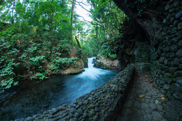 parque nacional uruapan